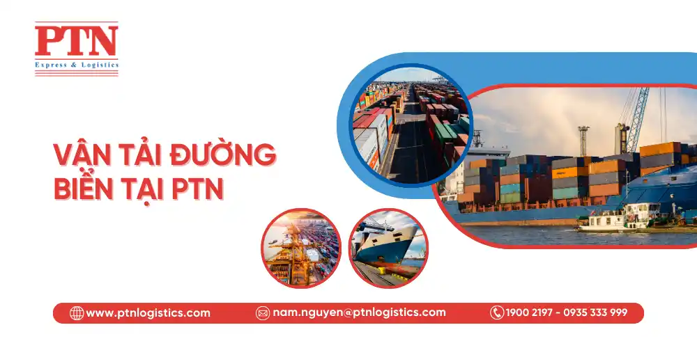 Vận tải đường biển tại PTN Logistics