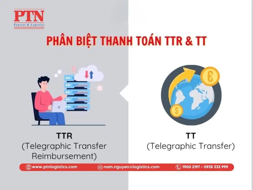 Phân biệt TT và TTR