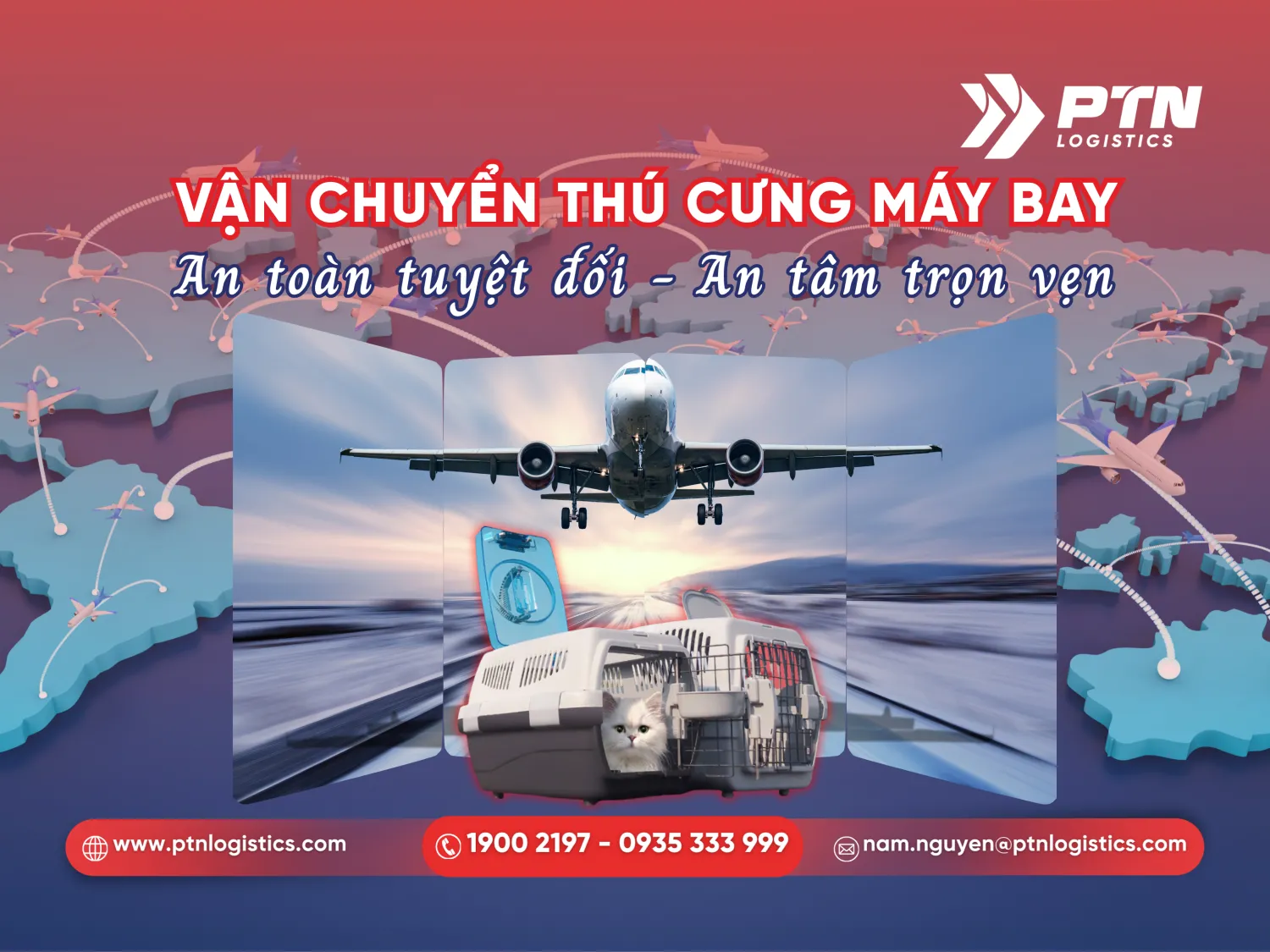Dịch vụ vận chuyển thú cưng bằng máy bay
