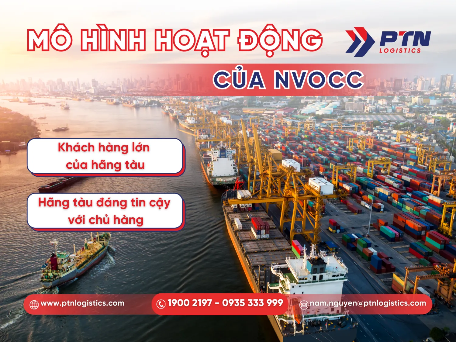 Mô hình hoạt động nvocc