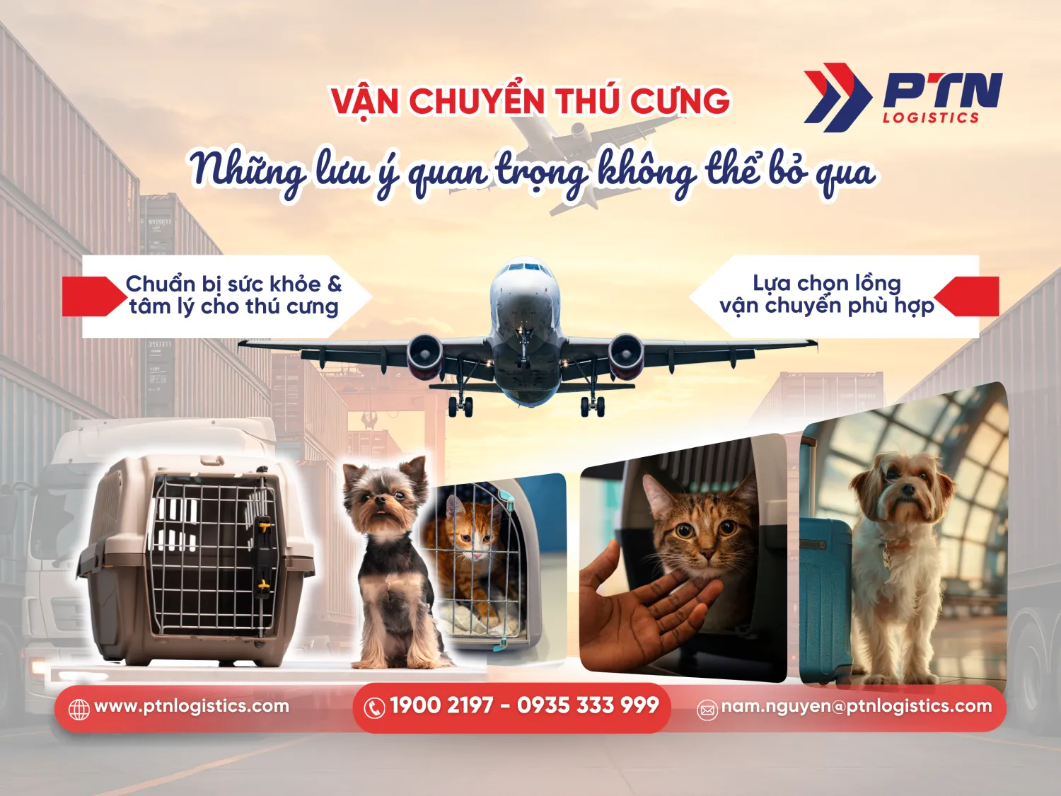 Vận chuyển thú cưng: Những lưu ý không quan trọng