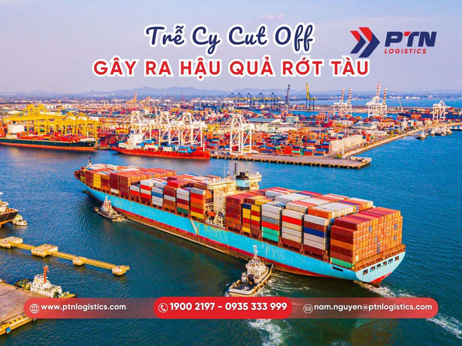 Các rủi to rớt tàu khi trễ Cy cut off