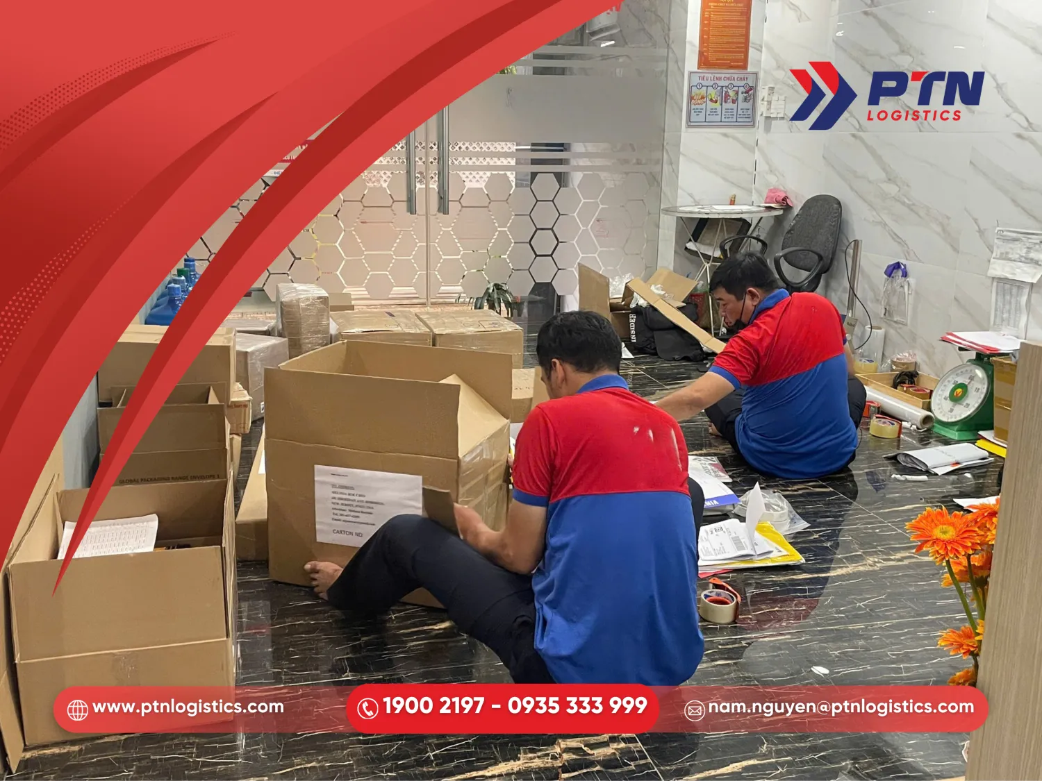 PTN Logistics cung cấp giải pháp toàn diện
