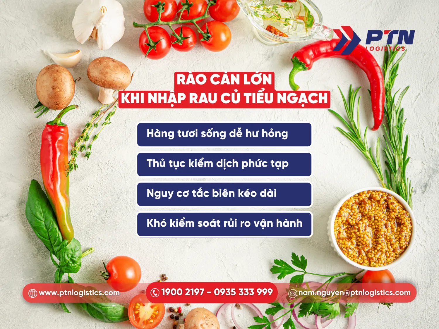 Các rào cản lớn khi nhập khẩu rau củ tiểu ngạch