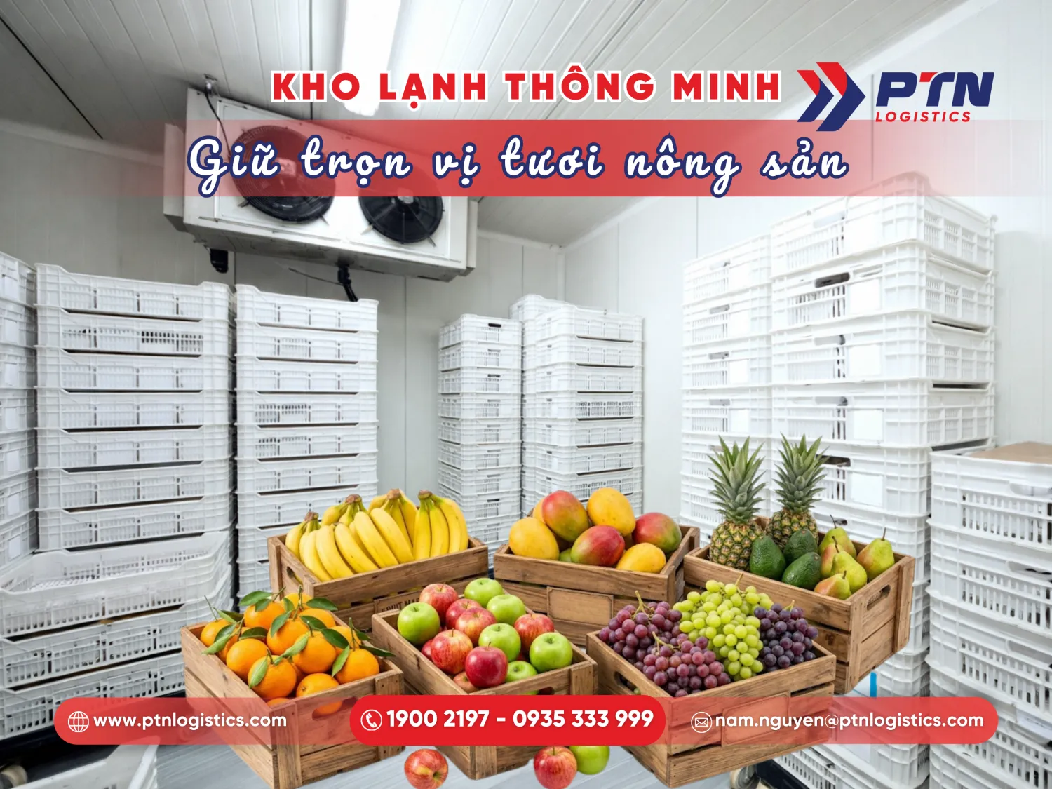 Dịch vụ kho lạnh và bảo quản hàng