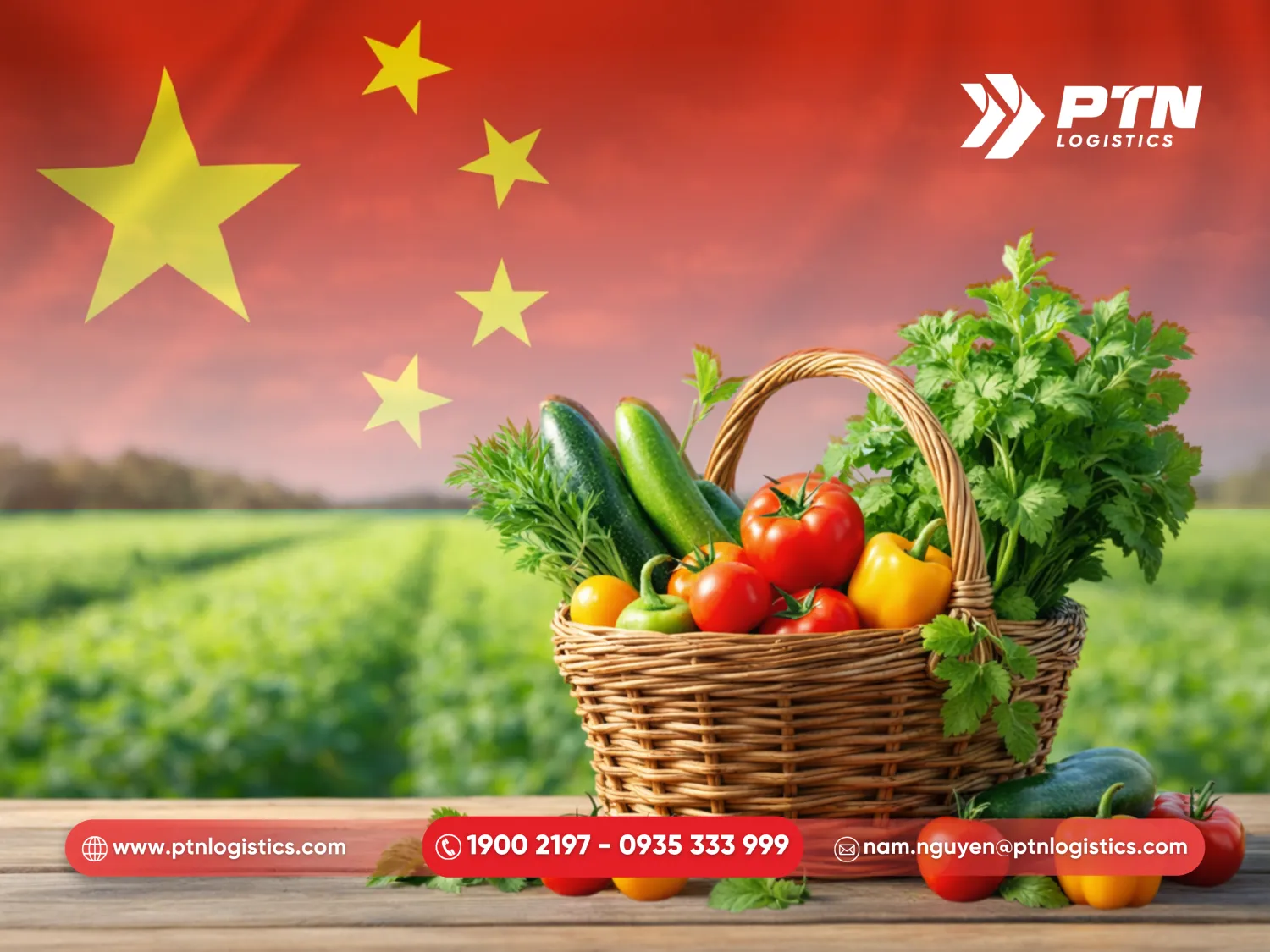 Nhu cầu thị trường và lợi thế của hàng rau củ Trung Quốc tại Việt Nam