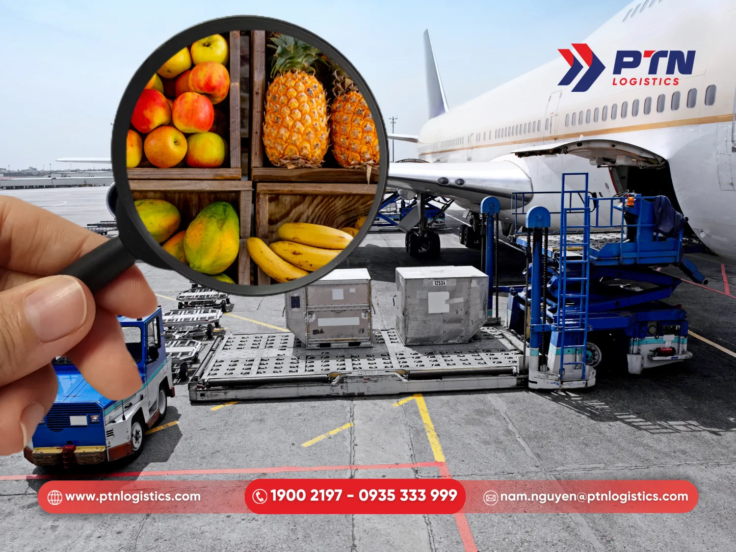 Vận chuyển trái cây XNK bằng đường hàng không