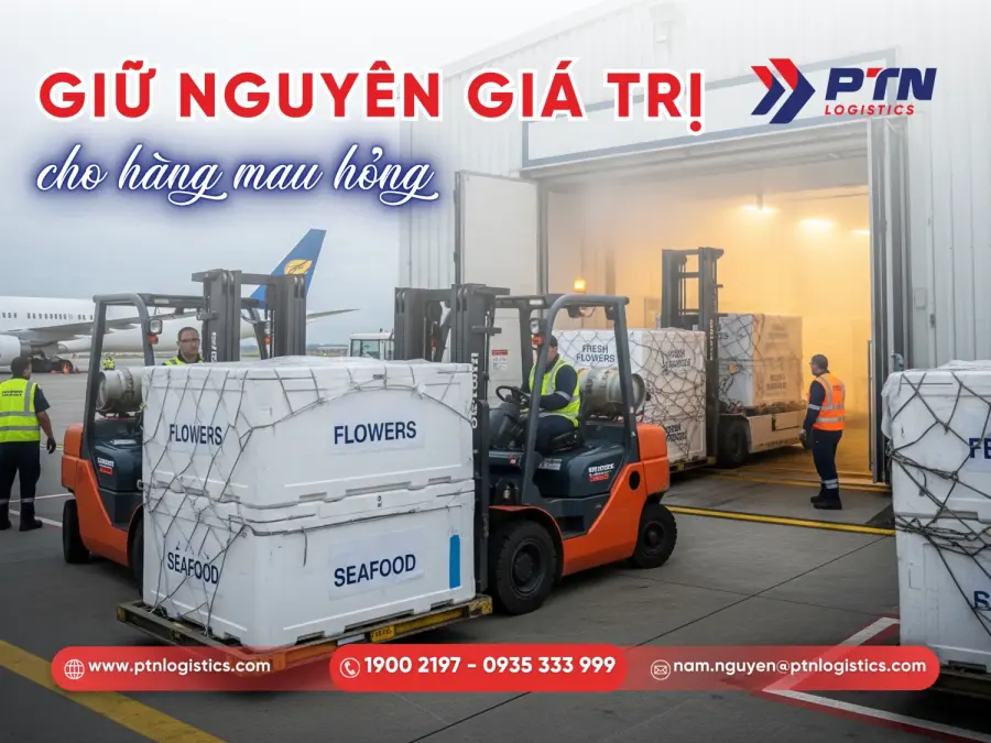 Hàng dễ hư hỏng phù hợp với vận tải hàng không