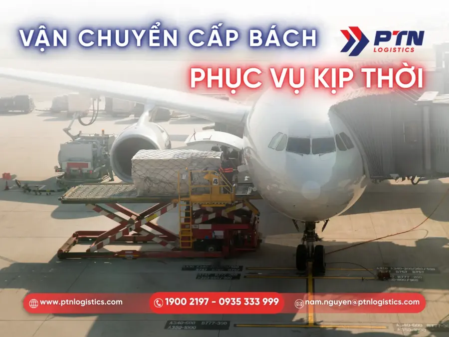 Vận tải hàng dược phẩm tài liệu quan trọng