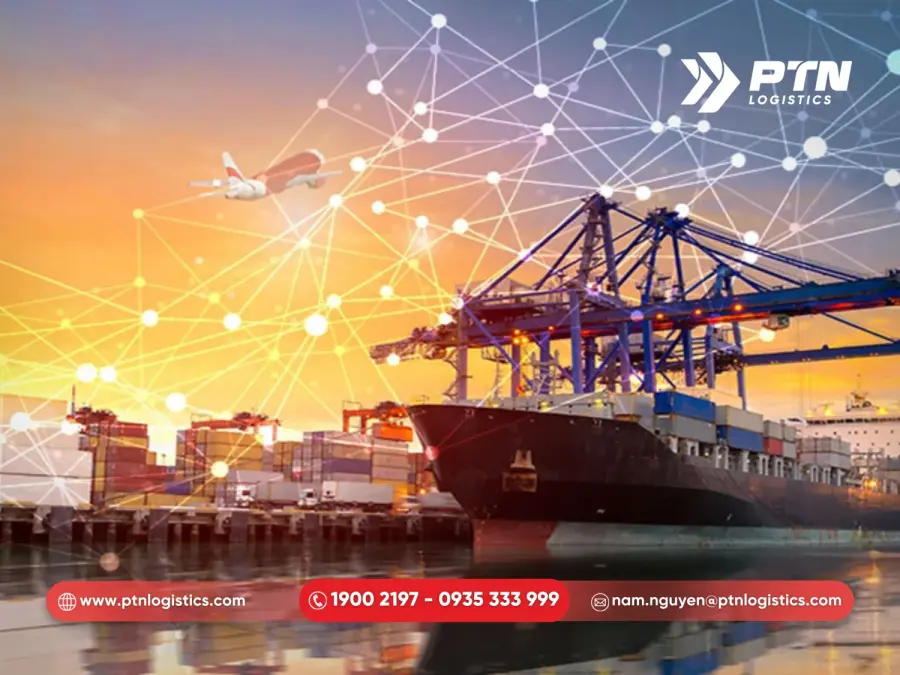 Mạng lưới vận chuyển rất linh hoạt