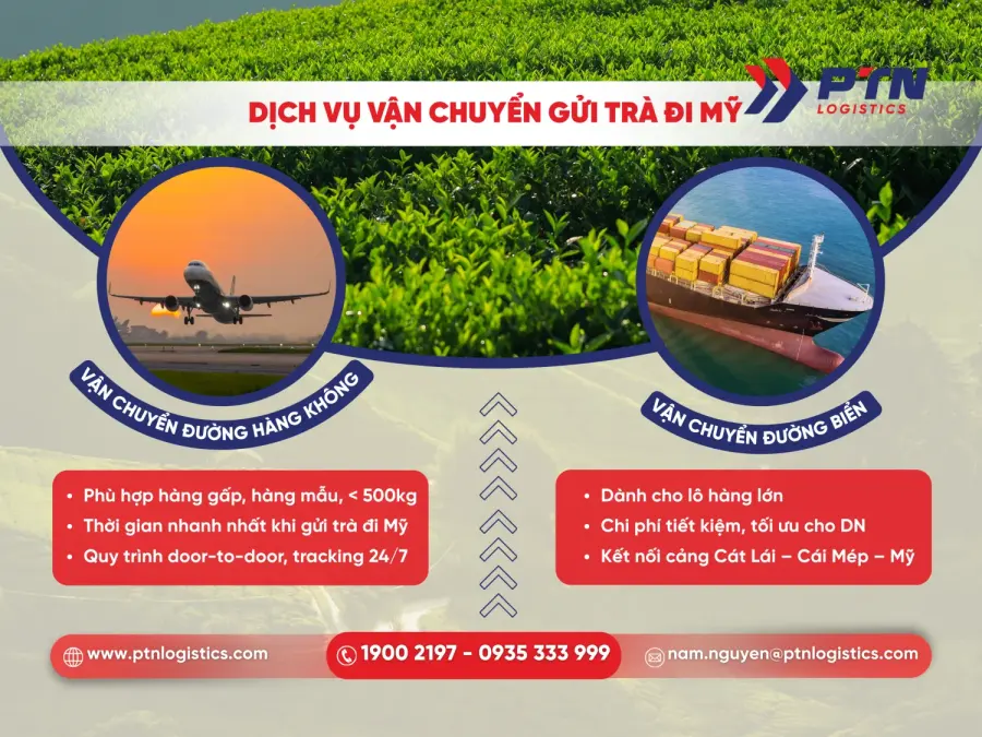 Dịch vụ logistics vận chuyển gửi trà đi Mỹ