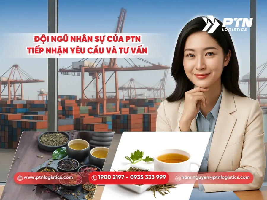 Đội ngũ nhân sự của PTN Logistics tiếp nhận yêu cầu và tư vấn