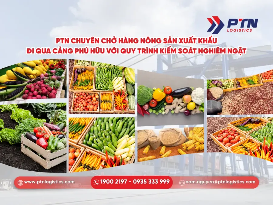 PTN Logistics chuyên chở hàng nông sản xuất khẩu đi qua cảng Phú Hữu