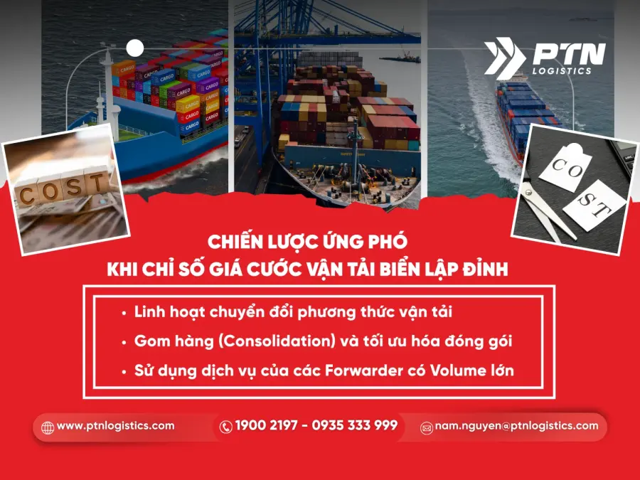 Chiến lược ứng phó khi mà chỉ số giá cước vận tải biển lập đỉnh