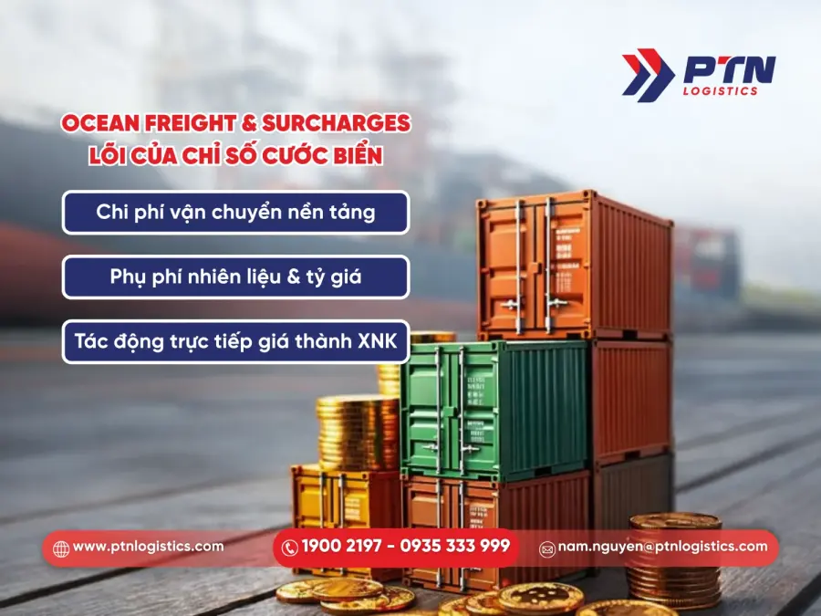Ocean Freight và surcharges cốt lõi của chỉ số cước