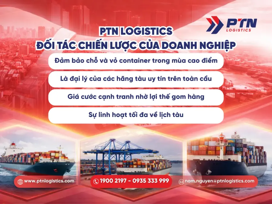 PTN Logistics là đối tác chiến lược kết nối doanh nghiệp với mạng lưới hãng tàu toàn cầu