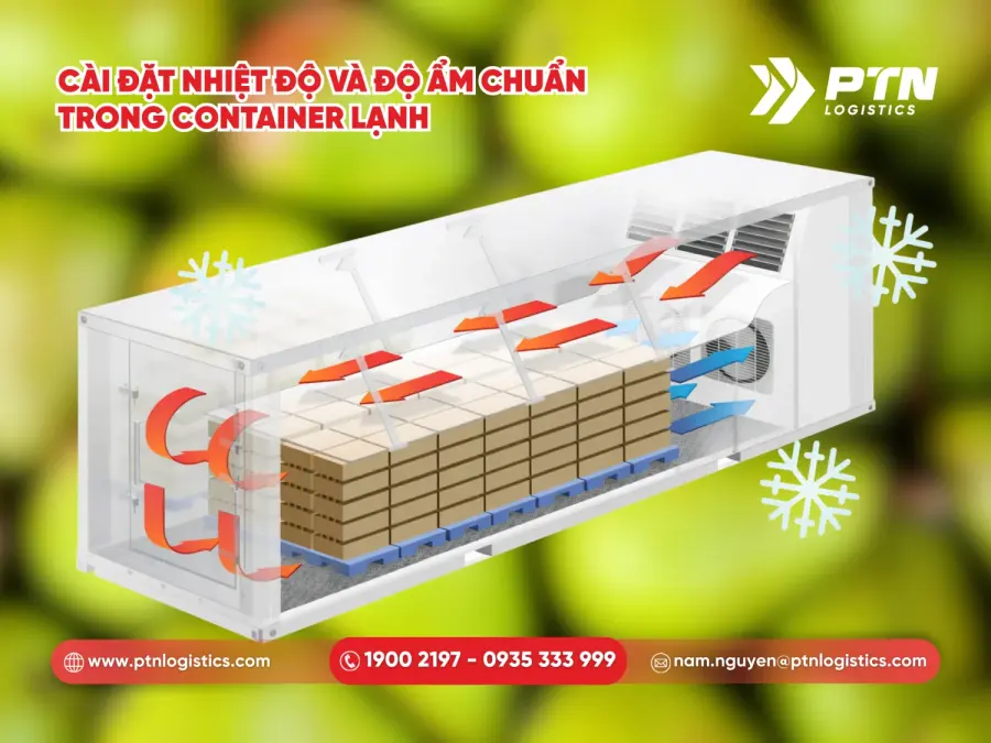 Cài đặt nhiệt độ và độ ẩm chuẩn trong cont lạnh