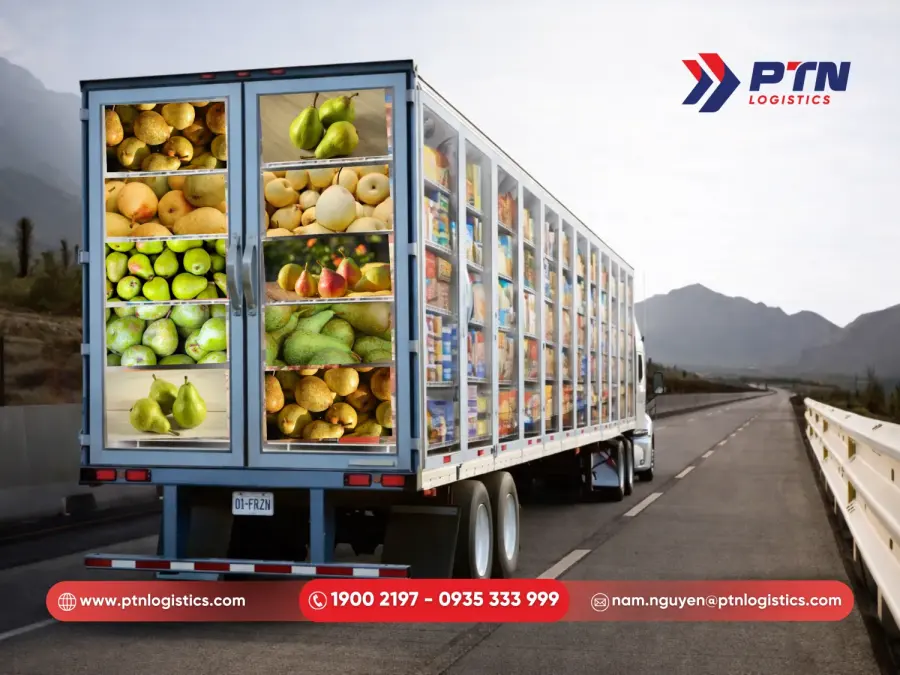 Cung cấp giải pháp vận chuyển hàng lạnh tối ưu chi phí