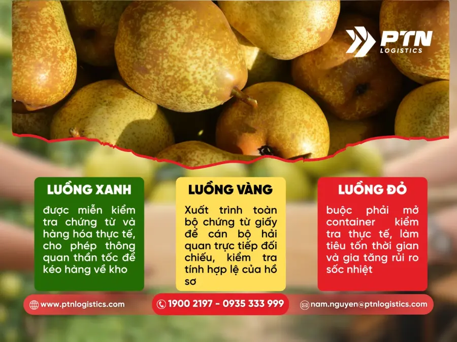 Phân luồng hải quan sẽ ảnh hưởng đến lô hàng lẻ nhập khẩu Hàn Quốc