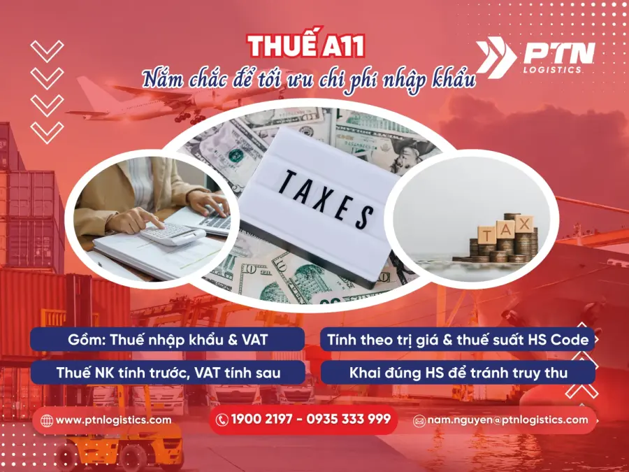 Thuế mã loại hình A11: Nắm chắc để tối ưu cho chi phí nhập khẩu