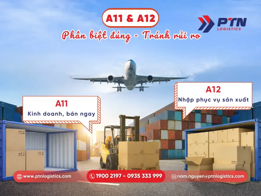 Tìm hiểu mã loại hình A11 VÀ a12