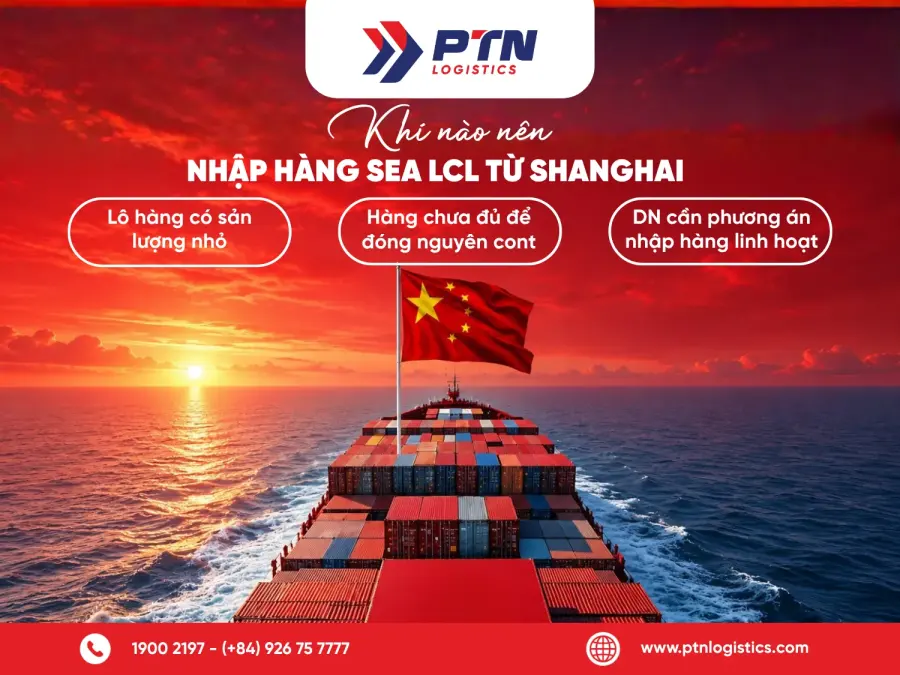 Khi nào nên nhập hàng Sea LCL từ Shanghai về Việt Nam